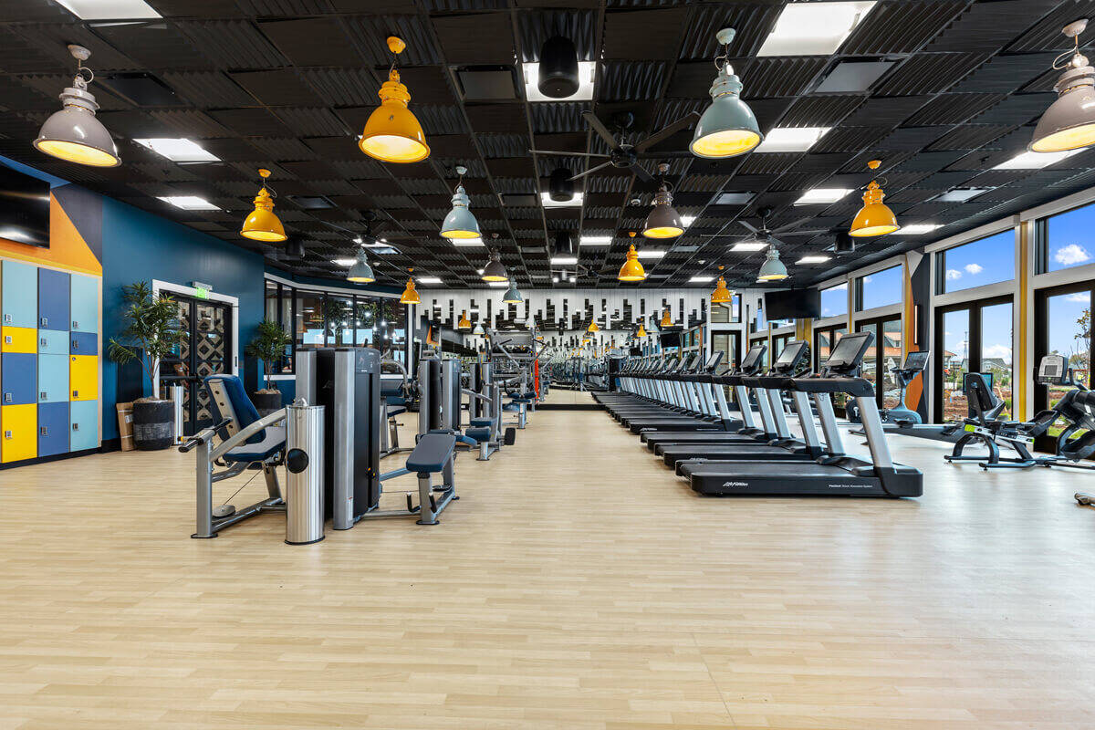 Treadmills and other cardio machines.