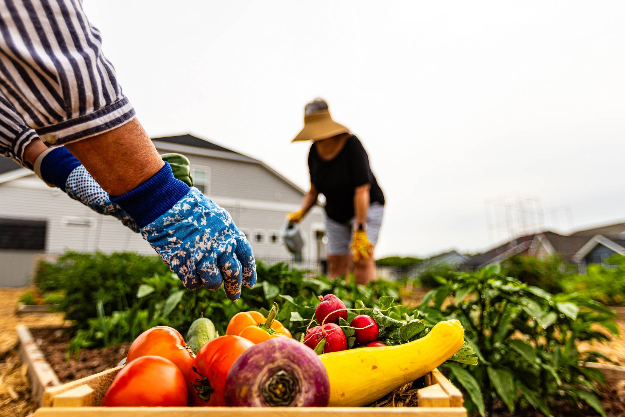 Farm to table community garden in Amblebrook