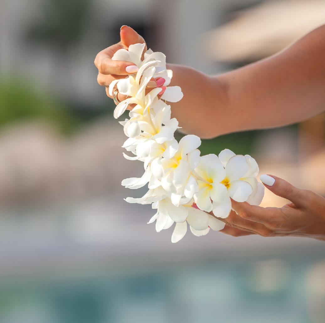 Hawaiian Luau