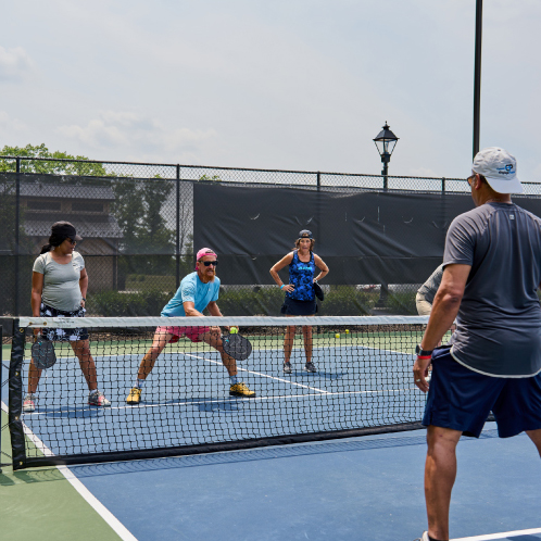 The courts